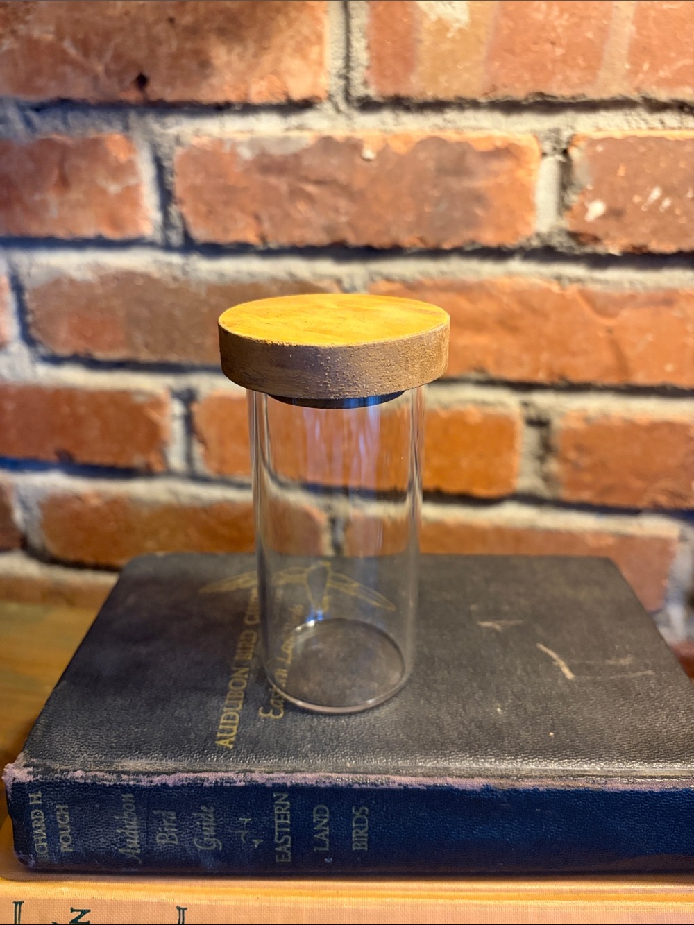 Glass Spice Jar Round Wooden Top and Rubber Seal